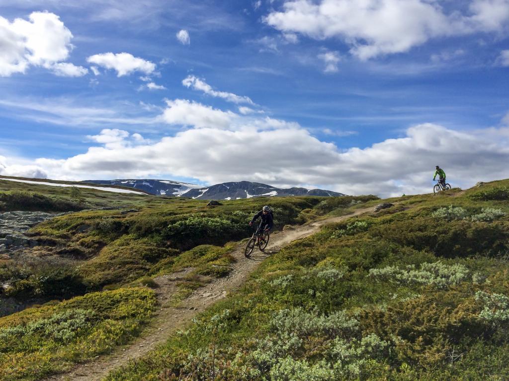 Liatoppen Fjellhotell Ål Buitenkant foto