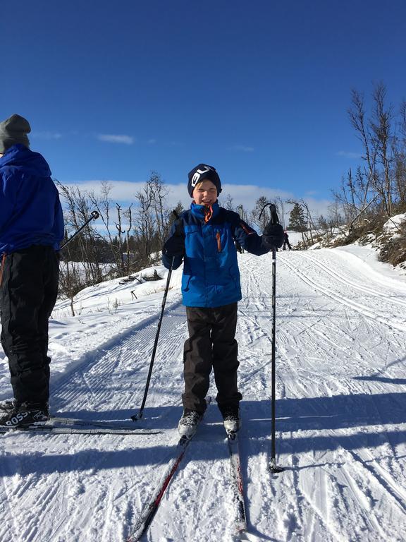 Liatoppen Fjellhotell Ål Buitenkant foto