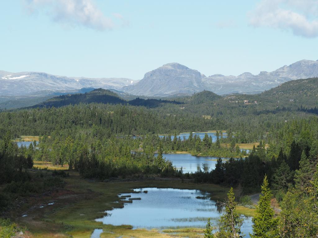 Liatoppen Fjellhotell Ål Buitenkant foto