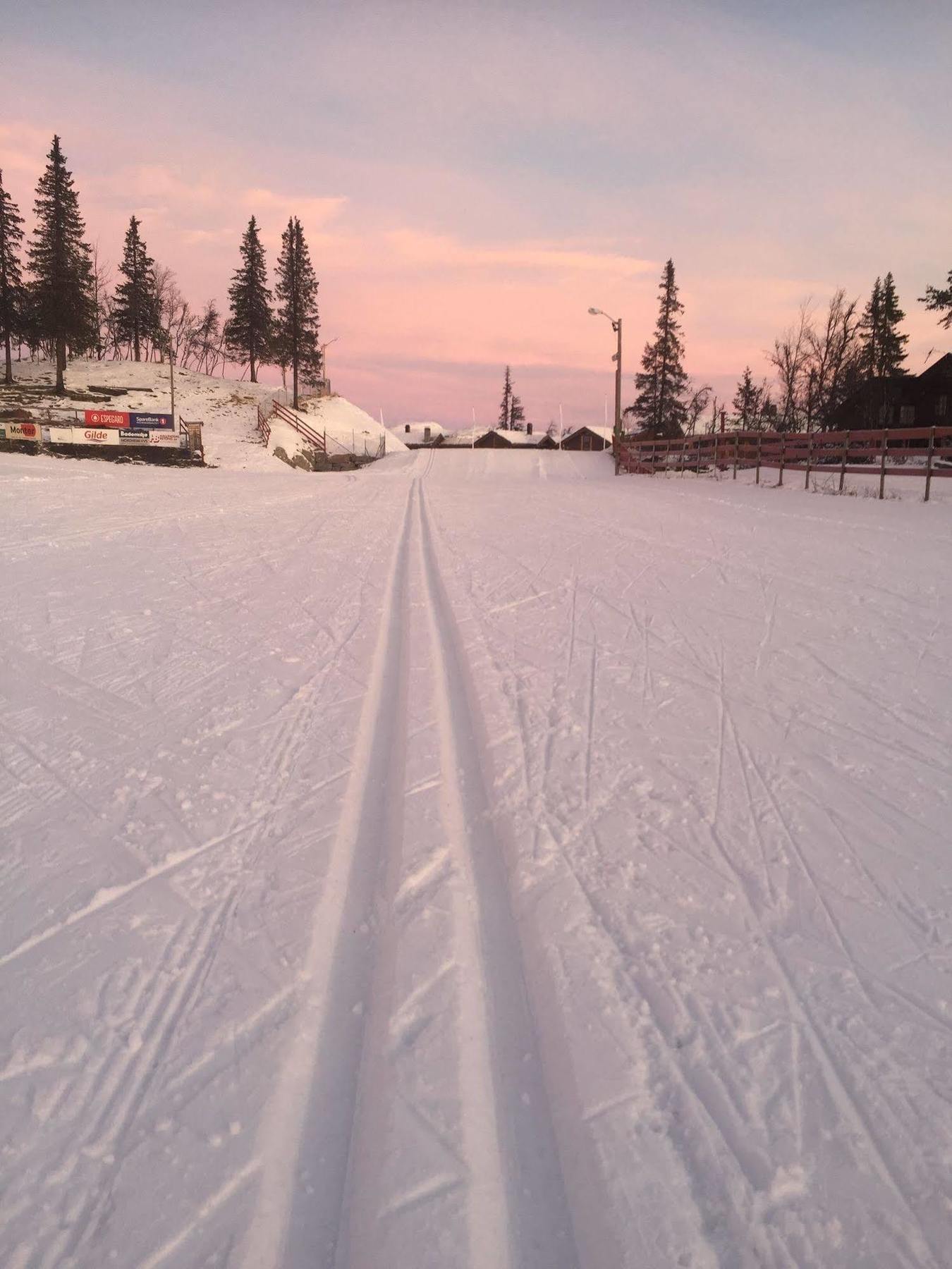 Liatoppen Fjellhotell Ål Buitenkant foto