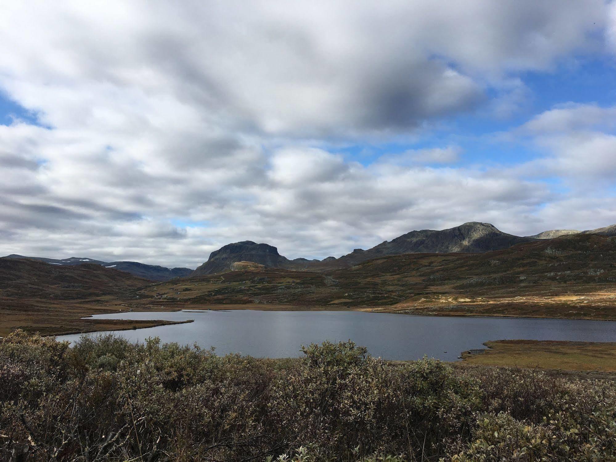 Liatoppen Fjellhotell Ål Buitenkant foto