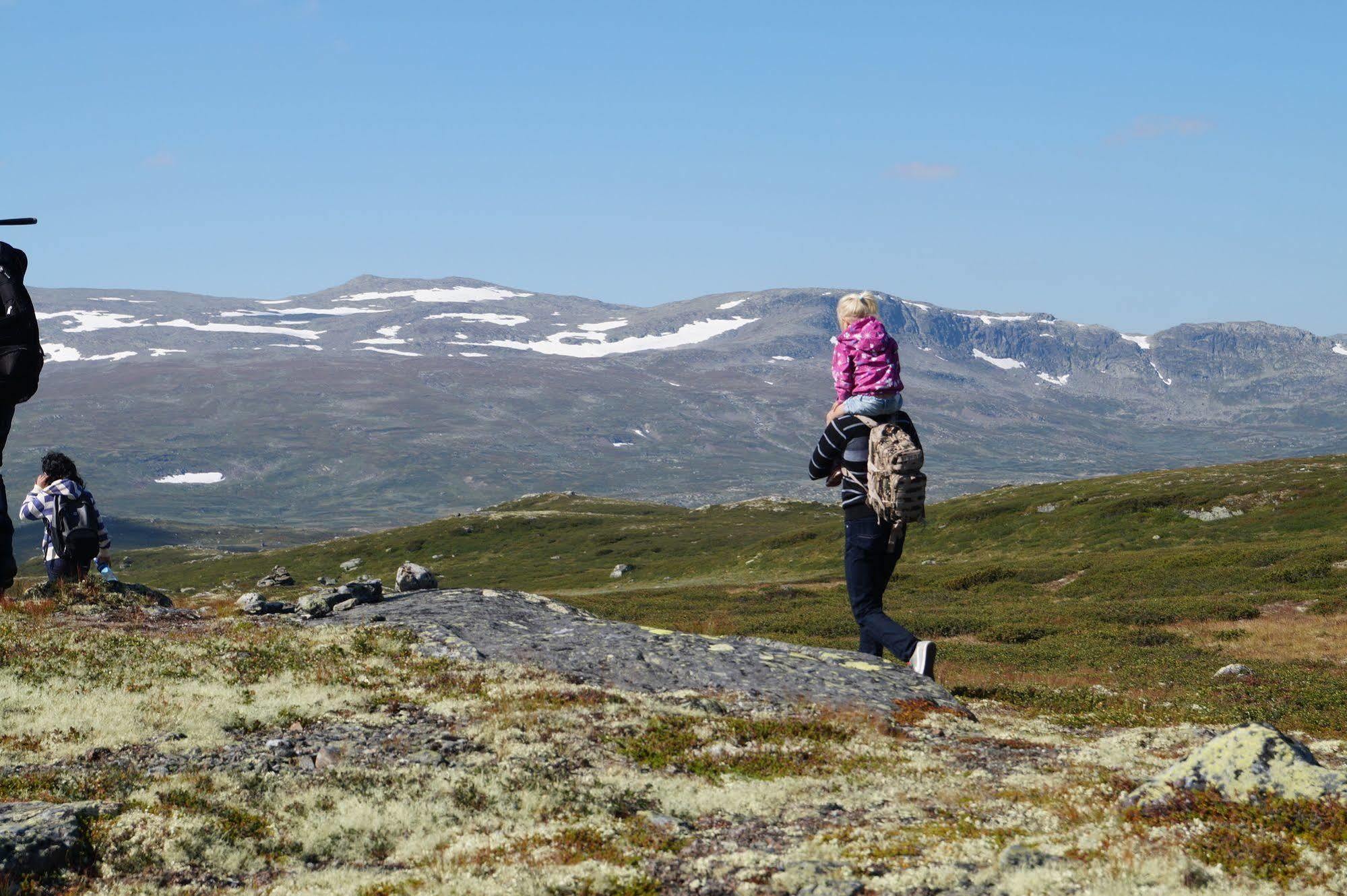 Liatoppen Fjellhotell Ål Buitenkant foto