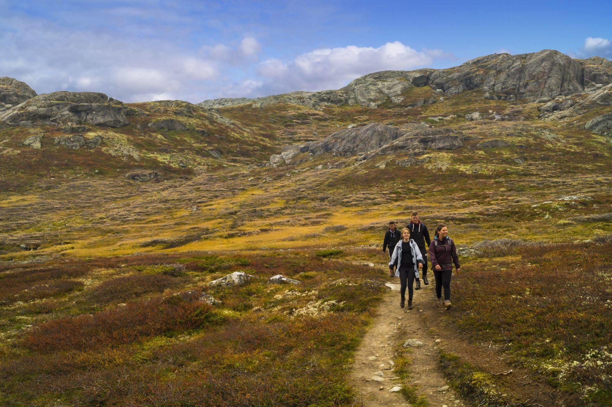 Liatoppen Fjellhotell Ål Buitenkant foto