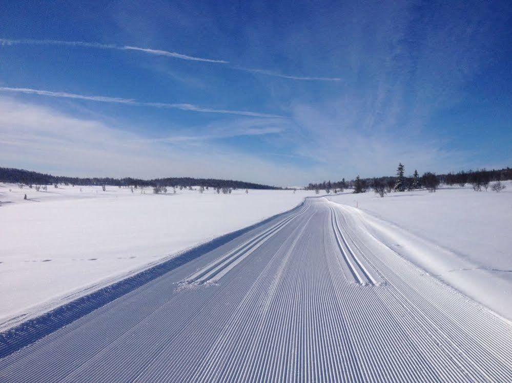 Liatoppen Fjellhotell Ål Buitenkant foto
