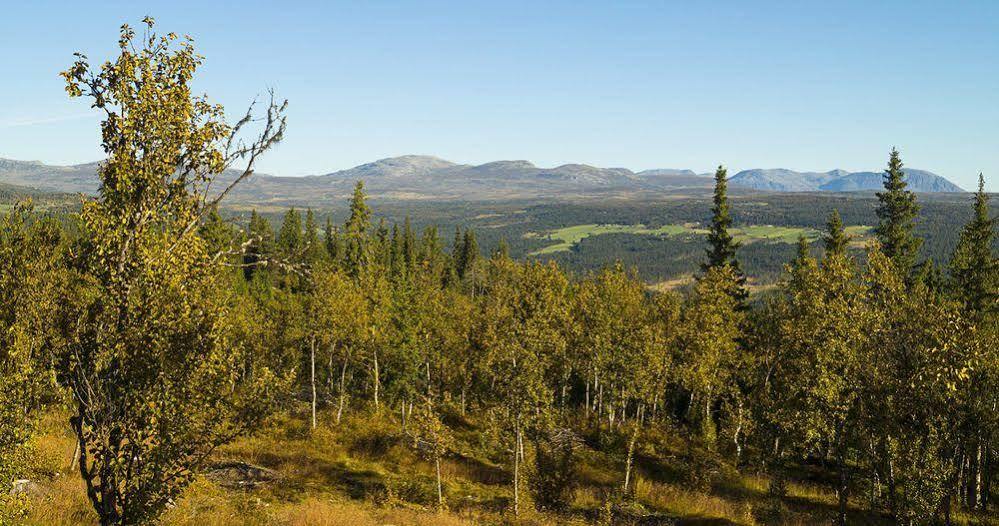 Liatoppen Fjellhotell Ål Buitenkant foto
